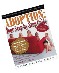 adoption step by step