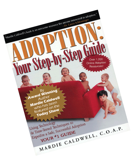 adoption step by step book